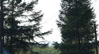 Гостиница АМЕТИСТ Байкальск Номер "Стандарт"-4